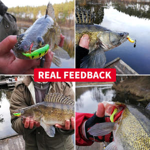 Leurre souple circulaire en PVC de haute qualité 70-110 mm pour la pêche au brochet, au bar, au maquereau et au mullet en eau douce et salée - Product Image 6