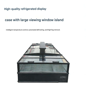 Congelatore a isola con <span class=keywords><strong>porta</strong></span> scorrevole in vetro trasparente a finestra ampia, ad alta efficienza energetica e raffreddamento ad aria, per esposizione gelati e carne, ideale per macellerie - Product Image 4