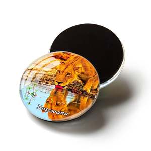 Custom Botswana Souvenirs Flag Three-Dimensional Fridge <b>Magnets</b> Wild Animal Photo Printing Round Square Glass <b>Magnet</b> - Product Image 1