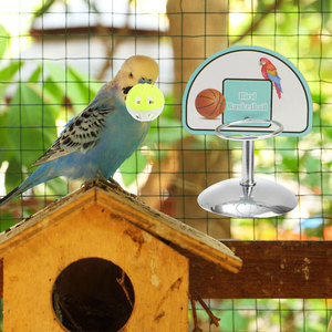 Mini Bóng Rổ Hoop Chụp Chim Đồ Chơi Thiết Kế Mới Thép Không Gỉ Thông Minh Trò Chơi Chew Đồ Chơi Thiết Lập Cho Vẹt Đào Tạo Vẹt Đồ Chơi - Product Image 5