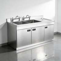 Évier de cuisine commercial double bac en acier inoxydable poli Lubo avec égouttoir intégré, revêtement en poudre de qualité alimentaire 300 kg/m
