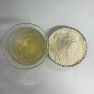 Üretici tedarik saf narenciye Aurantium <span class=keywords><strong>hesperidin</strong></span> turuncu kabuk özü <span class=keywords><strong>Hesperidin</strong></span> 98% toz - Product Image 3