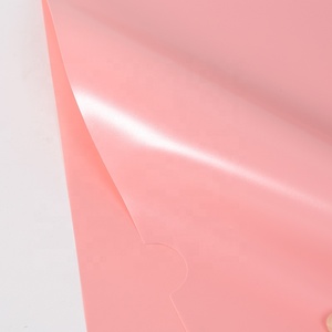 Văn Phòng Phẩm PP Nhựa <span class=keywords><strong>A4</strong></span> Kích Thước <span class=keywords><strong>L</strong></span> Hình Dạng Tập Tin Thư Mục - Product Image 4