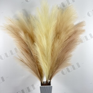 H0019 Naturale di Fiori Secchi Decorazione Domestica E La Decorazione di Nozze di Nozze Piccolo Artificiale Decorativo Soffici <span class=keywords><strong>Pampas</strong></span> Erba <span class=keywords><strong>Per</strong></span> Vaso - Product Image 5