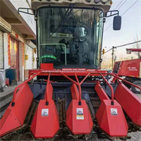 Moissonneuse-batteuse à maïs d'occasion populaire, haute efficacité, 4 rangs, 95 % neuve, pour grandes exploitations agricoles, à bas prix, testée