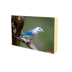 Pantalla de logotipo personalizado Obras pintadas a mano para niños o fotos de crecimiento Sublimación de Mdf en blanco <span class=keywords><strong>60x40</strong></span> <span class=keywords><strong>Marco</strong></span> de fotos - Product Image 6