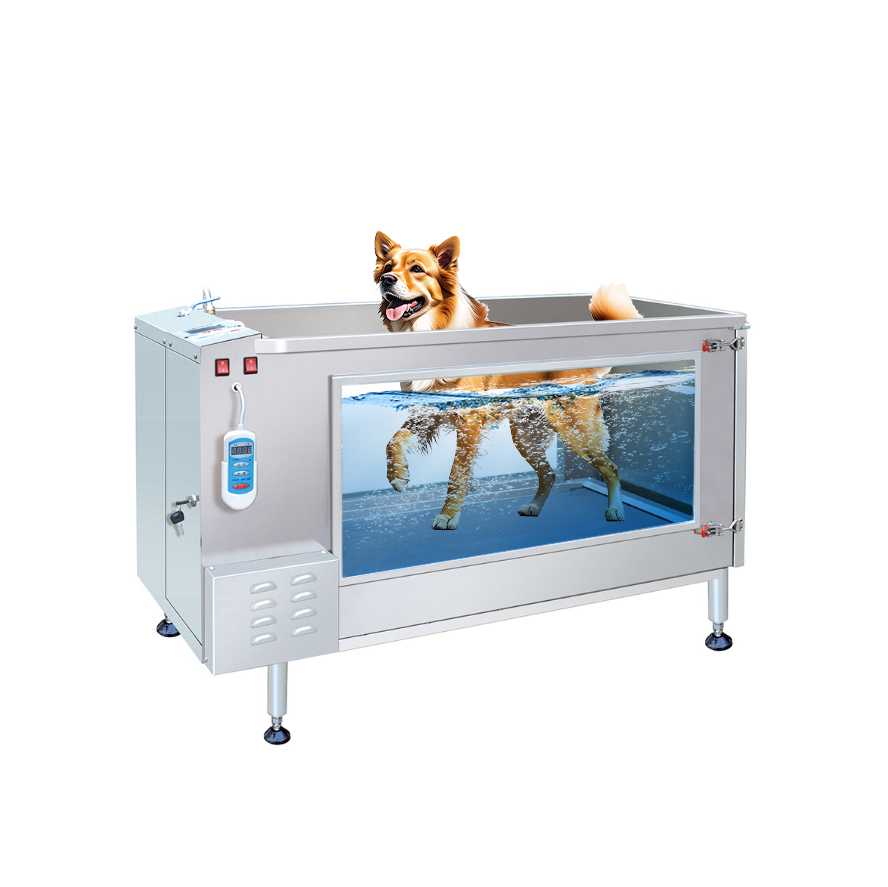 【未使用保管品】おうちトレーニング　FOOT BRAIN ACTIVATION 未使用保管品】おうちトレーニング FOOT BRAIN ACTIVATION