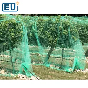 Cung cấp dài sử dụng cuộc sống PE trong suốt nhựa ép đùn chống bird net