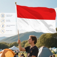 Drapeau personnalisé OEM en polyester Hessen 3x5ft 90x150cm, bannière d'État allemande pour événements sportifs, résistant aux UV, drapeau d'extérieur