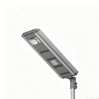 Projecteur LED d'extérieur haute luminosité IP66 AC pour stades, tunnels et éclairage architectural de chantier