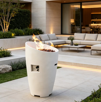 Table de foyer extérieur moderne en béton au gaz naturel avec design portable pour le camping et les fêtes