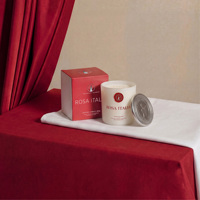 Bougie parfumée moderne à double mèche en cire de soja 380g, coffret cadeau, parfum d'ambiance de luxe pour la maison, vente en gros, logo personnalisé, Thanksgiving, Noël
