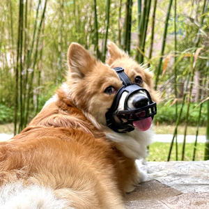 Muselière pour chien robuste, idéale pour les chiens de taille moyenne, empêche de mâcher et de mordre, panier permettant de respirer et de boire - Confortable - Product Image 2