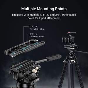 แผ่นฐานอะลูมิเนียมน้ำหนักเบา <span class=keywords><strong>ARRI</strong></span> <span class=keywords><strong>Dovetail</strong></span> สำหรับ 3770 8 12 พร้อมเกลียวแบบปลดเร็วคู่ 1/4''-20 และ 3/8''-16 - Product Image 5