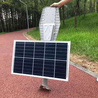 Lampadaire Solaire à Panneau Séparé 100W avec Panneau Mono 5V 30W et Batterie LiFePO4 IP65 pour l'Infrastructure Municipale