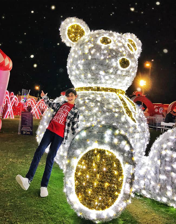 Big christmas teddy bear deals