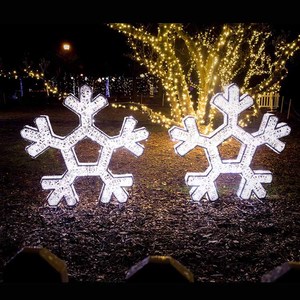 Flocons <span class=keywords><strong>de</strong></span> neige pour l'extérieur, l'intérieur, le jardin, la rue, éclairage paysager grand, moyen et petit, lumières décoratives personnalisées 2D3D, flocons <span class=keywords><strong>de</strong></span> neige - Product Image 4