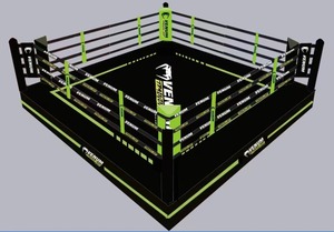 <span class=keywords><strong>Mini</strong></span> ring de boxe thaïlandaise Muay Thai MMA <span class=keywords><strong>UFC</strong></span> BJJ professionnel de haute qualité en toile personnalisée de 5*5m avec cordes élastiques - Product Image 2