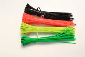 Aangepaste Grootte 100Pcs Kleurrijke Plastic Draad Ritssluitingen Zelfsluitende Nylon Kabelbinder