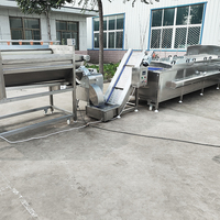 YouBan Multifunctionele Voedselverwerkingslijn voor de voorbewerking van verse groenten, vis en aardappelchips