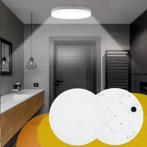 Professionele Leverancier Smart Modern Home Lights 4cct Dimbaar 18W Led Plafondlamp Met Ce Certificaat