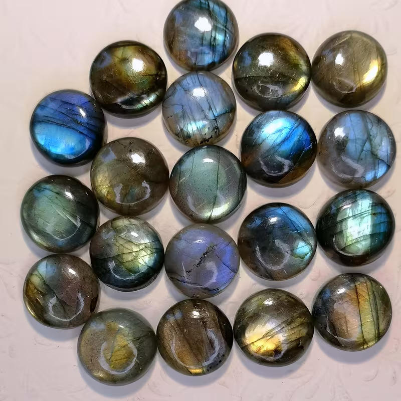 Labrador rond (sans trou)