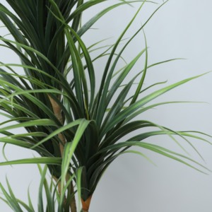 Offre Spéciale Simulation Dracaena Plante Vivid Ignifuge Dracaena Fragrans Arbre Liquidation Jardin Aménagement Paysager <span class=keywords><strong>plantes</strong></span> artificielles Bonsaï - Product Image 6