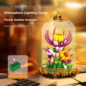 Jie Xing JJ9086 untuk <span class=keywords><strong>Amazon</strong></span> baru dirakit bunga abadi blok bangunan pot tanaman pencahayaan kotak Display lintas batas plastik - Product Image 4