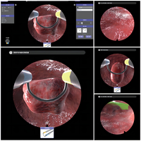 Simulador de Histeroscopia con Retroalimentación Háptica de Fuerza |   Sistema de Entrenamiento Quirúrgico de Ginecología en Realidad Virtual