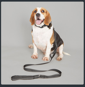 Conjuntos de Correas y Collares para Perros Ajustables, Acolchados de Cuero, Impermeables y Personalizados de Alta Calidad al por Mayor - Product Image 3