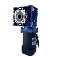 NMRV avec moteur DC Moteur AC à vis sans fin Boîte de réduction de vitesse avec moteur DC à faible bruit