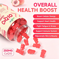 Hoytone OEM Gummies sans sucre CoQ10 250mg, Huile de poisson Oméga 3, Glycinate de magnésium – Santé cardiaque, Énergie, Soutien immunitaire – 60 unités