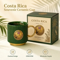 Mug en céramique souvenir du Costa Rica avec motif toucan et volcan, personnalisable, tasse à café en porcelaine, OEM ODM, vente en gros