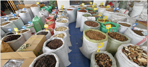 Graines <span class=keywords><strong>de</strong></span> cumin <span class=keywords><strong>de</strong></span> haute qualité YUNRUI, gros grains, cueillies à la main, épices aromatiques, vente en gros - Product Image 6