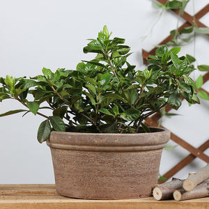 Grand <span class=keywords><strong>pot</strong></span> <span class=keywords><strong>de</strong></span> <span class=keywords><strong>fleurs</strong></span> en céramique <span class=keywords><strong>pour</strong></span> décoration <span class=keywords><strong>de</strong></span> jardin, <span class=keywords><strong>pot</strong></span> <span class=keywords><strong>de</strong></span> plantes succulentes, <span class=keywords><strong>pour</strong></span> l'intérieur et l'extérieur, <span class=keywords><strong>pour</strong></span> la maison - Product Image 2