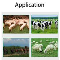 Système de gestion de dispositif de suivi du bétail Étiquettes d'oreille animales Étiquette d'oreille de vache Double gps Code à barres électronique Bovins Mouton Étiquette d'oreille