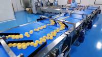 Machine de fabrication automatique de gâteau à la crème anglaise à haute productivité avec prix d'usine