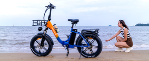 Bicicleta Plegable Ridsart MN20-20Ah 48V 1000W 20Ah con Motor Trasero de 7 Velocidades, Neumáticos Gruesos de 20 Pulgadas, Batería de Litio, Eléctrica para Adultos, Superventas - Product Image 6