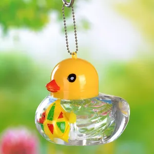 Mini aquarium portable en plastique transparent pour enfants, boîte de reproduction pour poissons rouges et tortues - Product Image 5