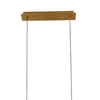 Nicoletta Golden Iron Lustre à suspension moderne à 5 lumières Plafonnier personnalisé de qualité avec corps en PC à LED et interrupteur à base de verre