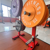 Équipement de fitness commercial de haute qualité en gros, support de rangement, accessoires de salle de sport, support de rangement pour plaques de poids, machine de rangement de poids de luxe