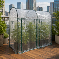 Serre tunnel à structure métallique avec couverture en film transparent pour plantes de jardin, semis et culture de légumes en extérieur