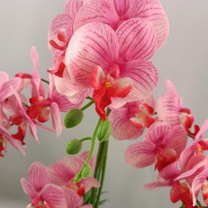Piccola Pianta Artificiale di Orchidea Phalaenopsis - Fiore Finto in <span class=keywords><strong>Vaso</strong></span> Ecologico Sempreverde Senza Necessità di Irrigazione per Capodanno, Laurea, Pasqua - Product Image 3