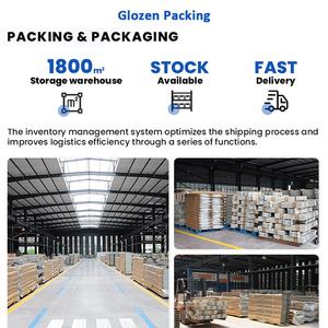2 Lagen 500Kg Premium Rack Magazijn Planken Garage Opslag Magazijn Custom Pallet Racking Voor Magazijn - Product Image 6