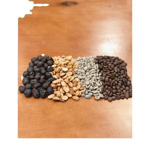 Équipe professionnelle Arabica Catimor grains de café Robusta du Vietnam logo personnalisé bon marché grains de café verts fabricant du Vietnam - Product Image 2