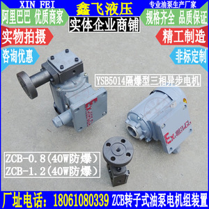 Unité Moteur-Pompe à Engrenages Ignifuge XIN FEI ZCB en Fonte YSB5014 40W pour la Lubrification des Machines-Outils - Product Image 3