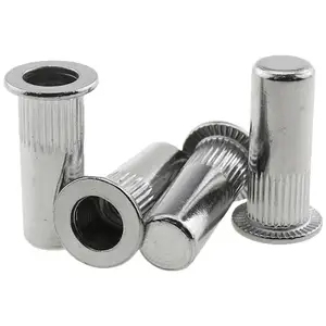 M5 Metal Sealed Rivet Nut Silver 304 Stainless Steel Closed End Thread Embedded Nut for Furniture Machinery Fastener