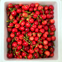 Extrait de cerise acidulée 25% VC, complément alimentaire pur, poudre antioxydante, emballage en fût de 1 kg