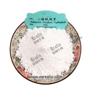 CAS 987-65-5 98% tinh khiết ATP Disodium Muối Adenosine Disodium triphosphate - Product Image 1