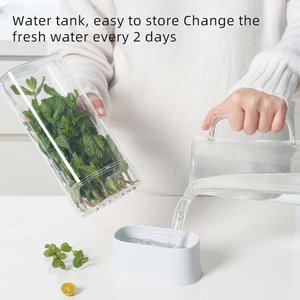 Contenedor para Refrigerador, Organizador de Verduras, Caja de Almacenamiento para Cilantro, Mantiene Frescas las Verduras - Product Image 2